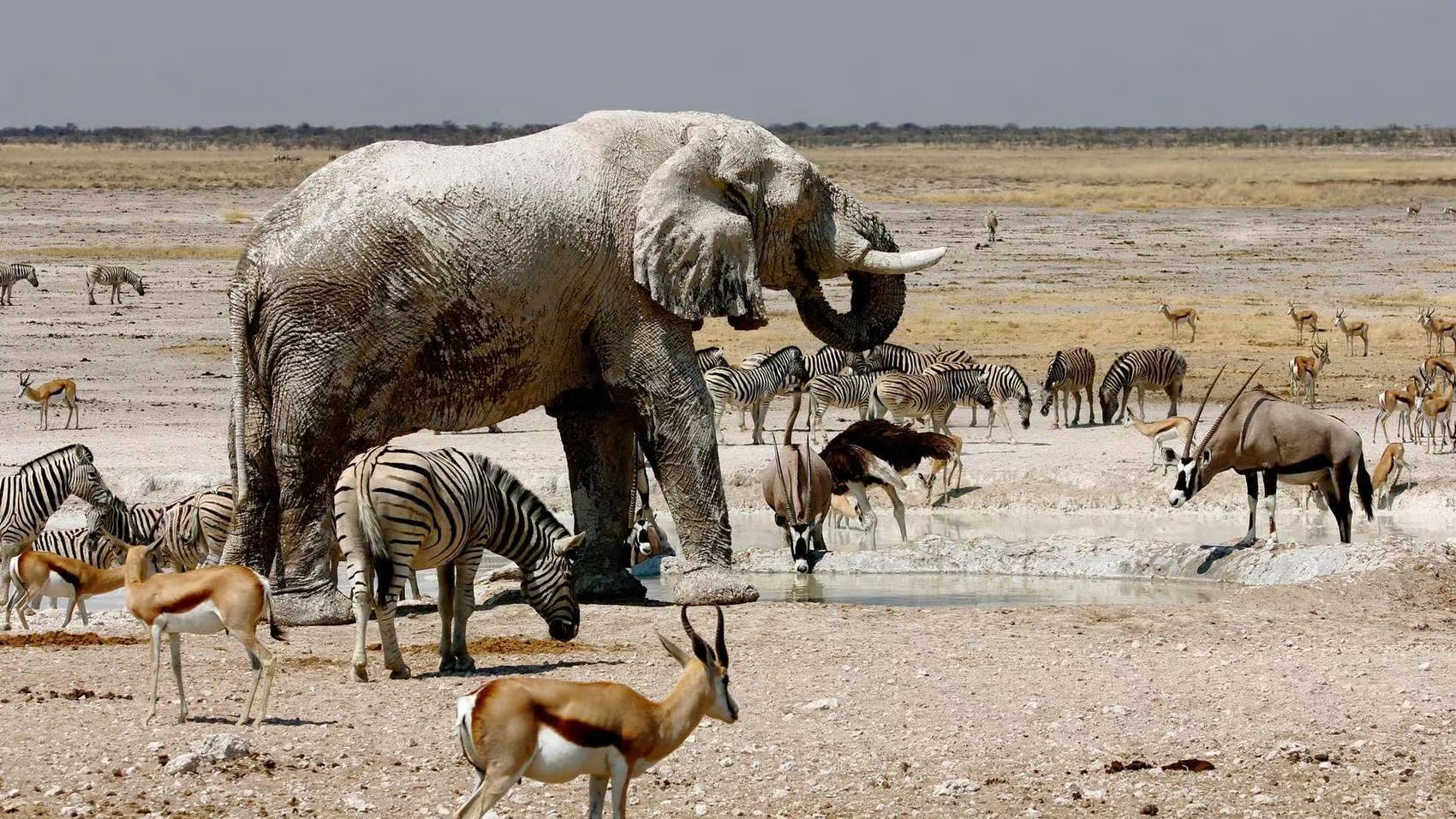 Namibia